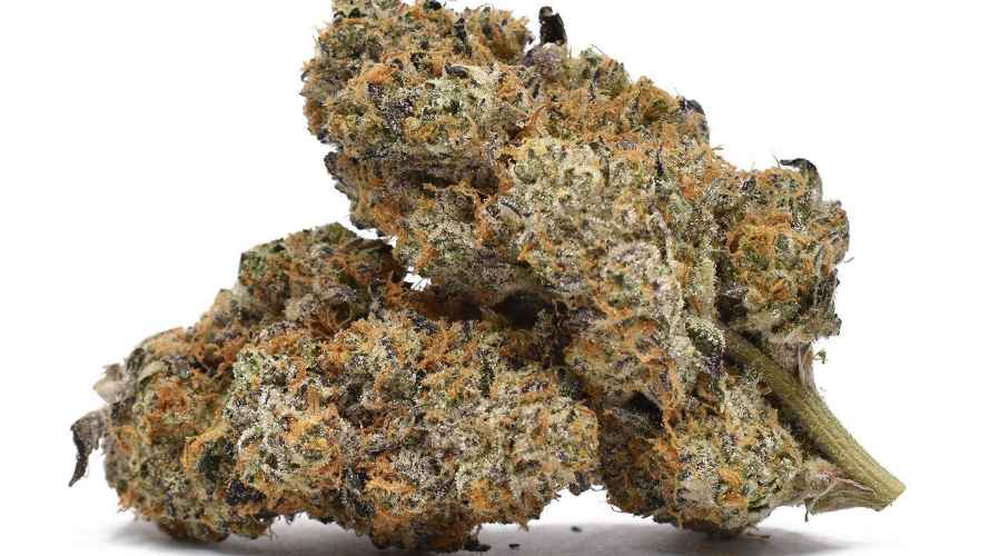 Another jaw-dropping Indica hybrid with intense full-body effects is Gushers (AAAA), a candidate for the cheapest weed for 2023. 