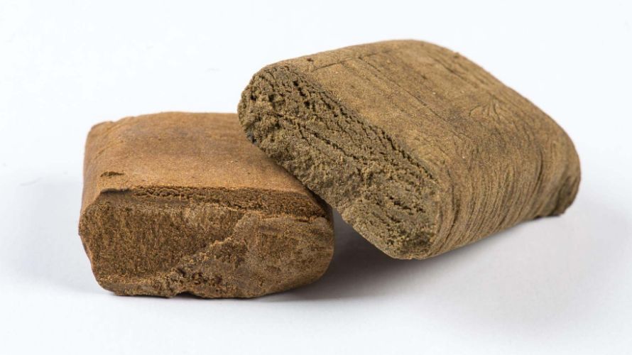 Hash or hashish is the mother of all concentrates. Unlike the others, it has been around for thousands of years! 