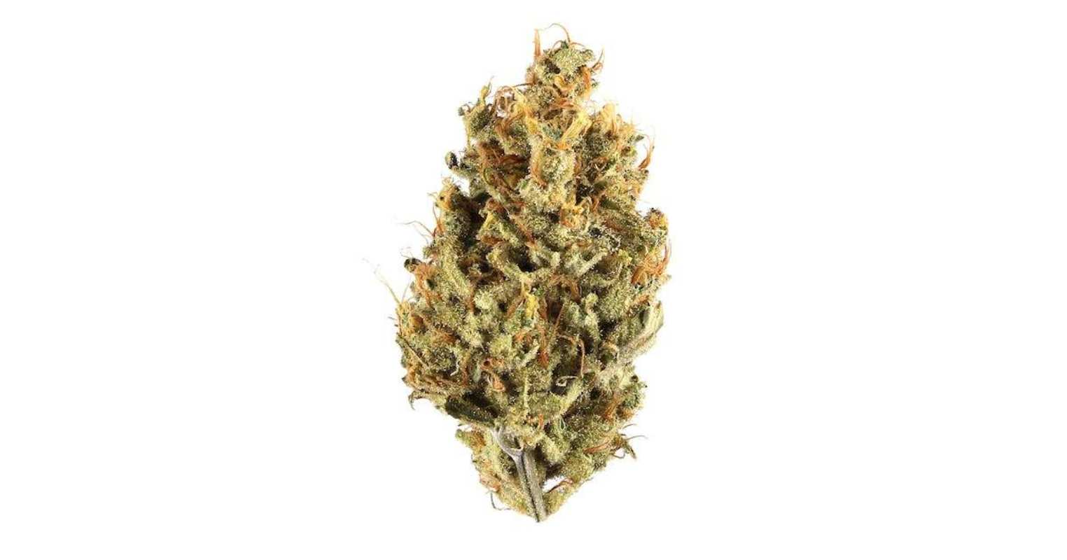 The Jungle Cake strain has a unique appearance that many people love. The buds are typically tiny to medium in size and have a dense, Indica-like structure. 