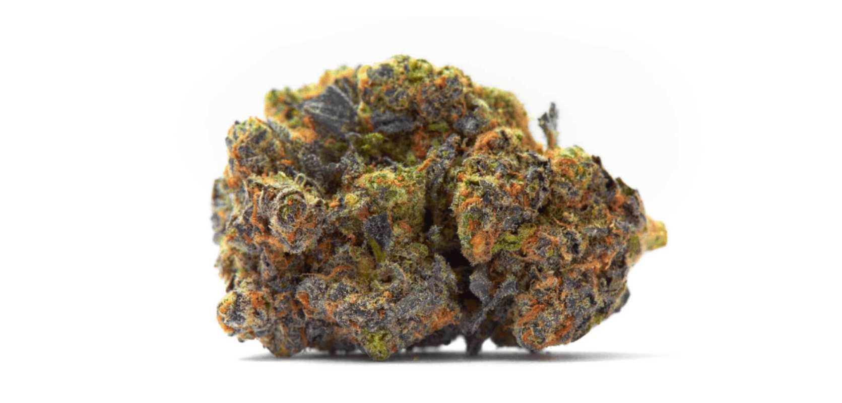 If you're looking for a delicious and potent strain, look no further than strains named after baked goods. An Online Dispensary Review of the Jungle Cake Strain.