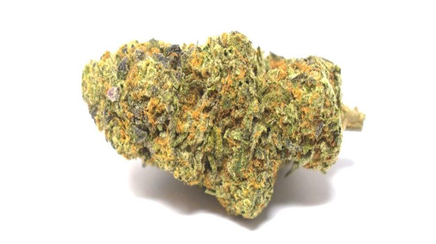 LA Beatnik is a hybrid strain that’ll leave you wanting more. 