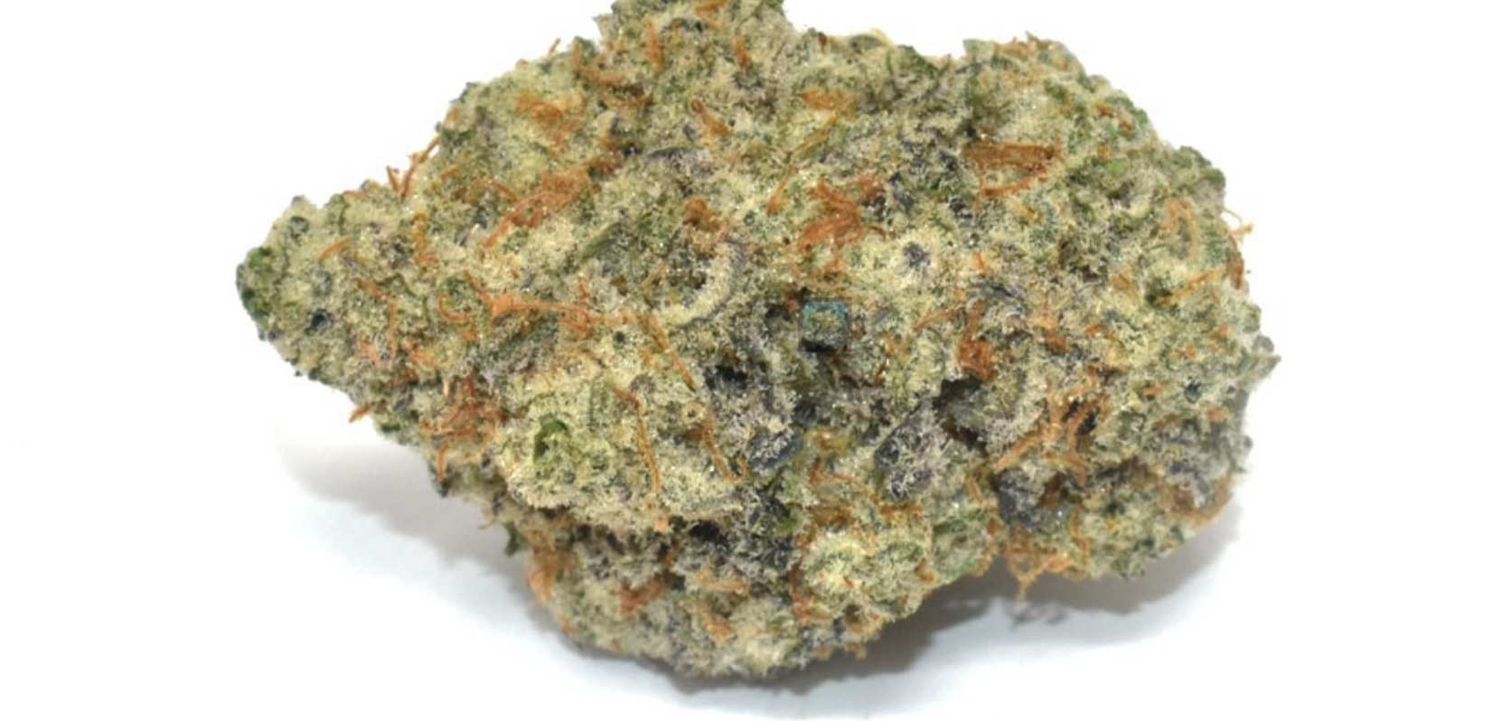 Looking for a 50/50 hybrid that packs a potent punch? Say hello to McFlurry! 