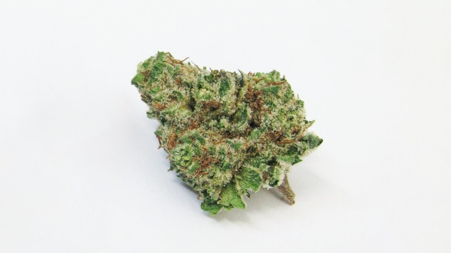 Buy the Mimosa weed in Canada if you want to feel out-of-this-world energetic. This Sativa-dominant strain is known for being an excellent stress reliever and mood booster. 