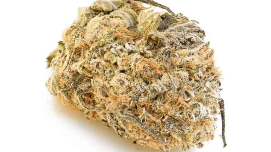 Consider Pineapple Express (AAAA+), a legendary Sativa dominant strain (60:40 ratio) that's even been featured in a movie of the same name! 