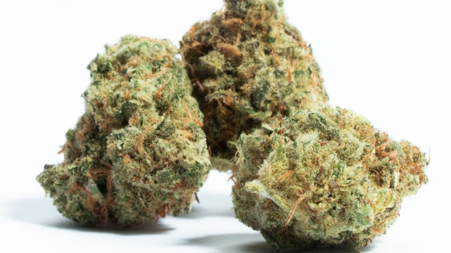 The Pink Kush weed is a stunning strain to look at - imagine some of the brightest green buds and luscious pink hairs under the trichomes blanket that resembles powdered sugar. 
