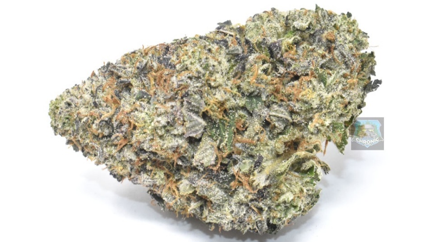 According to consumers, this top-grade Purple Kush strain will give you an almost immediate effect that will leave you slightly introspective and entirely pain-free. 