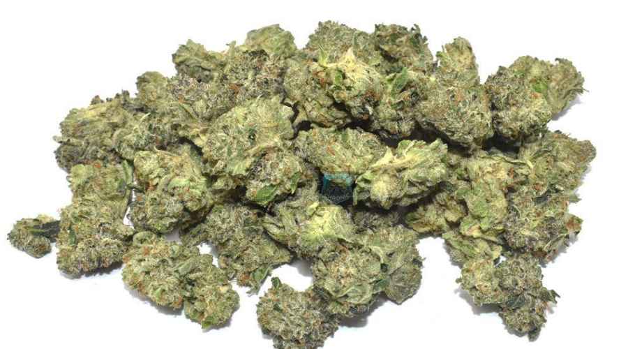 Skywalker OG Kush, or simply Skywalker OG is a hard-hitting Indica-leaning hybrid (85:15 ratio) with intense THC levels. 