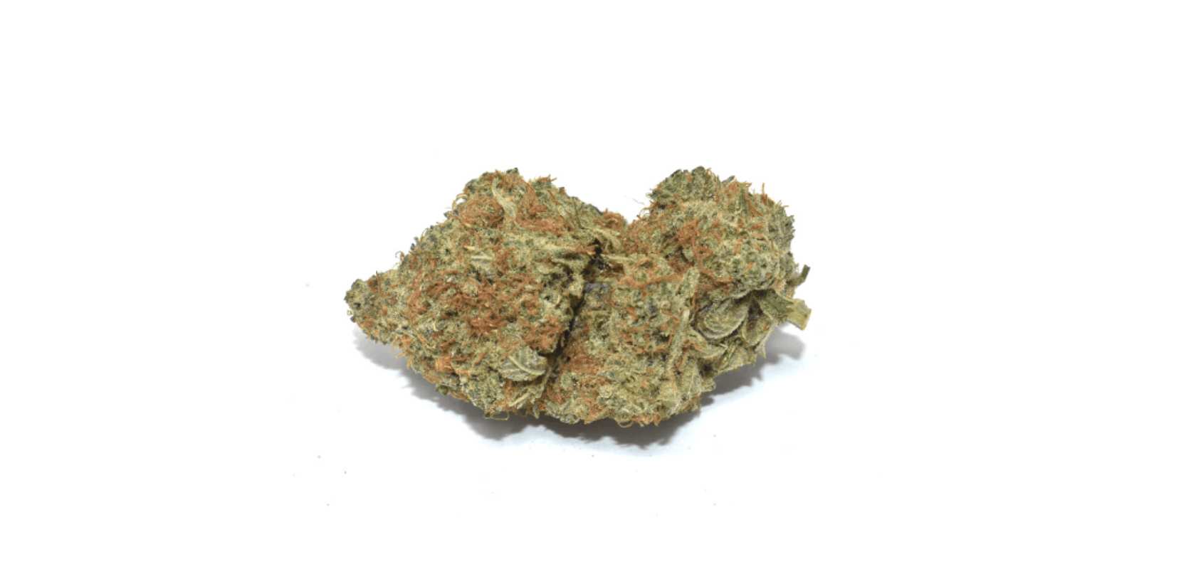 Sour Lemon OG is a slightly Sativa dominant hybrid perfect for those looking for a cerebrally stimulating yet relaxing experience. 