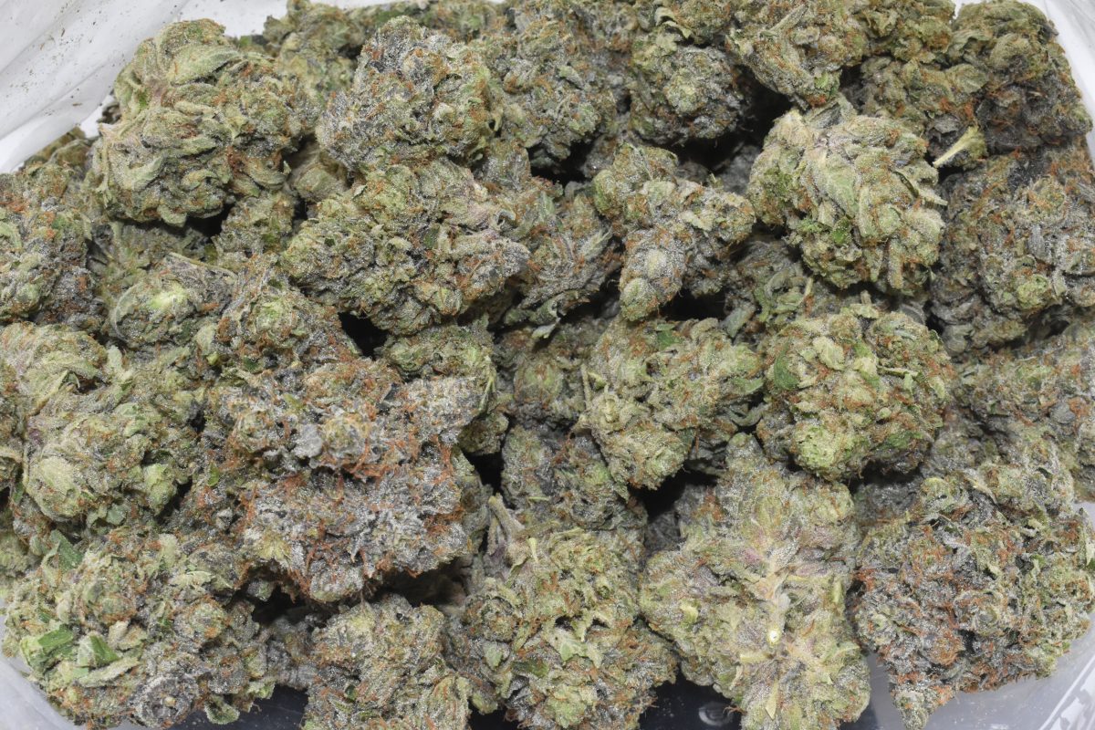 buy-astro-pink-at-chronicfarms.cc-online-weed-dispensary