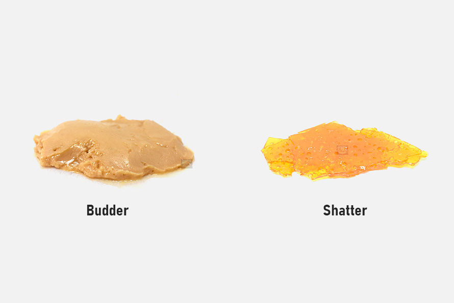Budder vs shatter cannabis concentrates from Chronic Farms online dispensary Canada for shatter weed and budder weed.