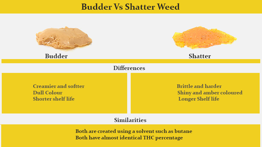 budder vs shatter weed similarities and differences from an online dispensary for cannabis concentrates, shatter, gummys, dab pens, and weed online Canada.