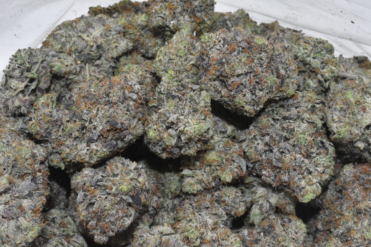 buy-grandaddy-purple-at-chronicfarms.cc-online-weed-dispensary