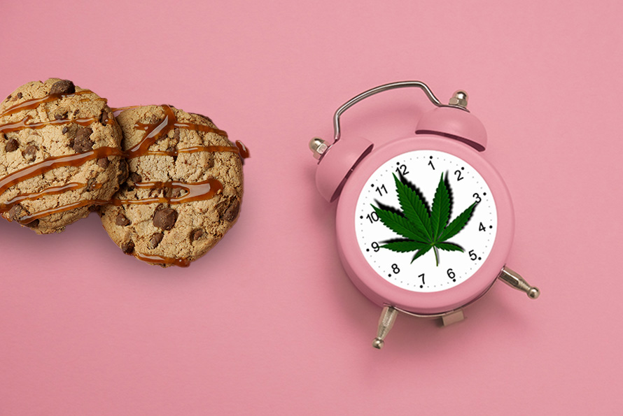 Clock timer and weed chocolate chip cookies. How long does it take for edibles to kick in?