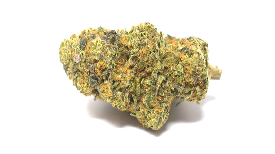 LA Beatnik is defined as a hybrid indica-oriented strain that brings euphoria and relaxation to lucky constituents. 