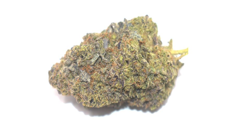 Lemon Face Mints weed online Canada from the top online dispensary to buy weed online in Canada and get mail order marijuana value buds.