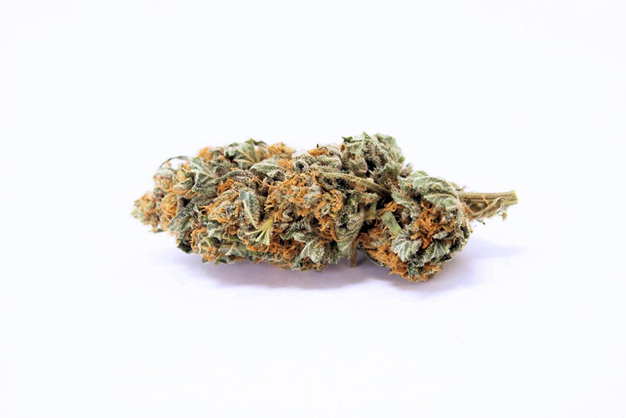 Lemon Kush Strain budget buds from chronic farms online weed dispensary for weed online in Canada. Mail order marijuana weed store for BC Cannabis and cheap canna.