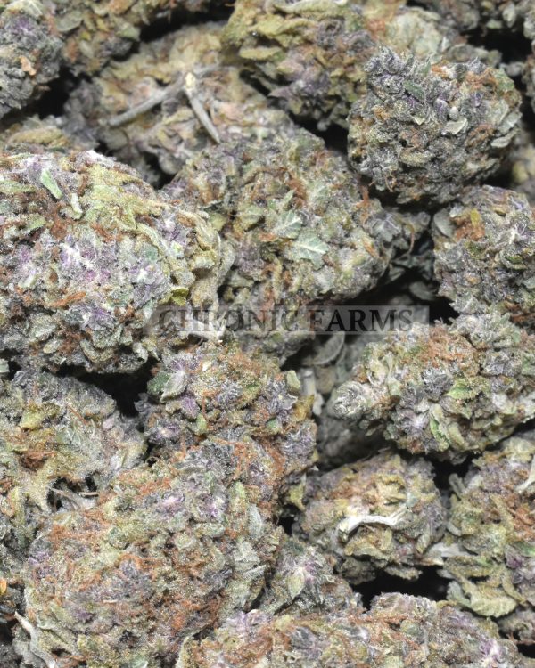 buy-purple-icewreck-at-chronicfarms.cc-online-weed-dispensary