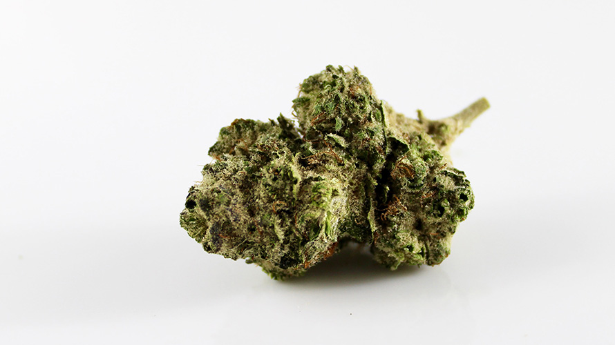 Dosido strain info and budget buds from chronic farms mail order marijuana weed store and online dispensary to buy weed online.