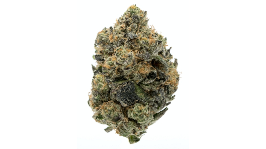 This Girl Scout Cookies strain review intends to offer you the best GSC products on earth.