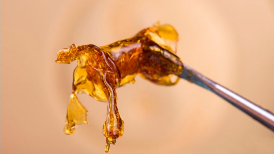 Here’s what you’ll need to dab shatter weed: A dabbing rig, a blowtorch, a nail, a carb cap, a dabbing tool and some shatter. 