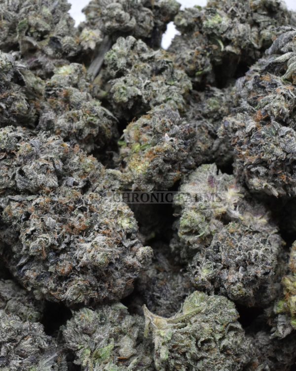 BUY-GAS-FACE-CRAFT-FLOWER-AT-CHRONICFARMS.CC-ONLINE-WEED-DISPENSARY-IN-CANADA