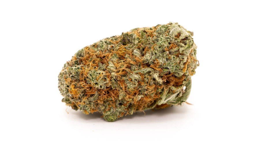 Girl Scout Cookies strain is famously bred with a standard and balanced 60:40 Indica-dominant ratio, thanks to its OG influences. 