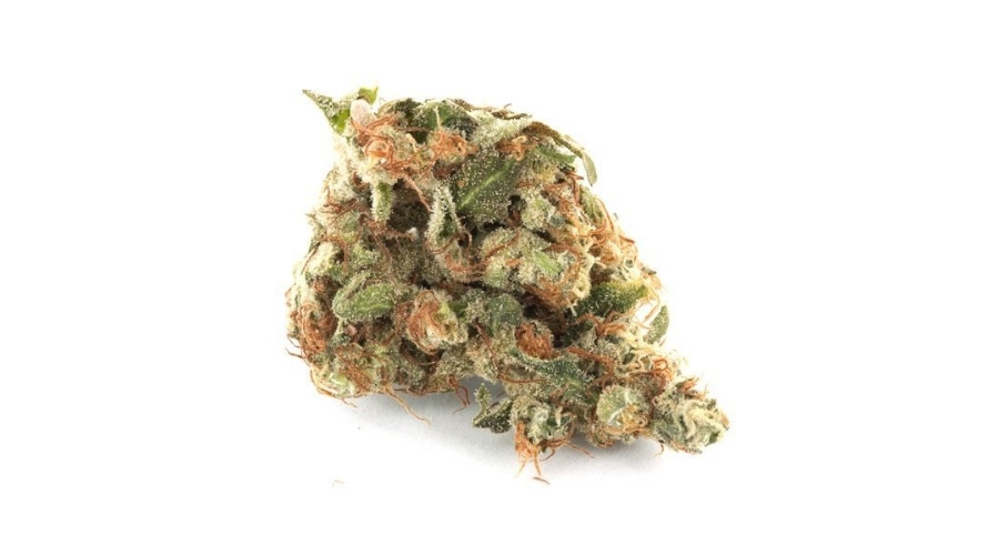 In conclusion in this Girls Scout Cookies strain review, we would like to end where we began, in saying that the Girl Scout Cookies strain should perhaps not be judged by its cover - in terms of potency! 