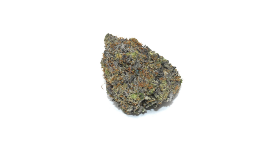 Granddaddy Purple is a heavy indica dominant strain created by crossing the classic Big Bud with Purple Urkle strains. 