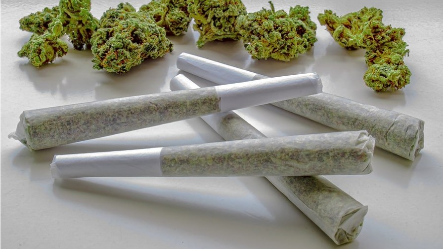 Is a joint of weed the same as a blunt or a spliff? Contrary to popular belief, these terms do not refer to the same thing.