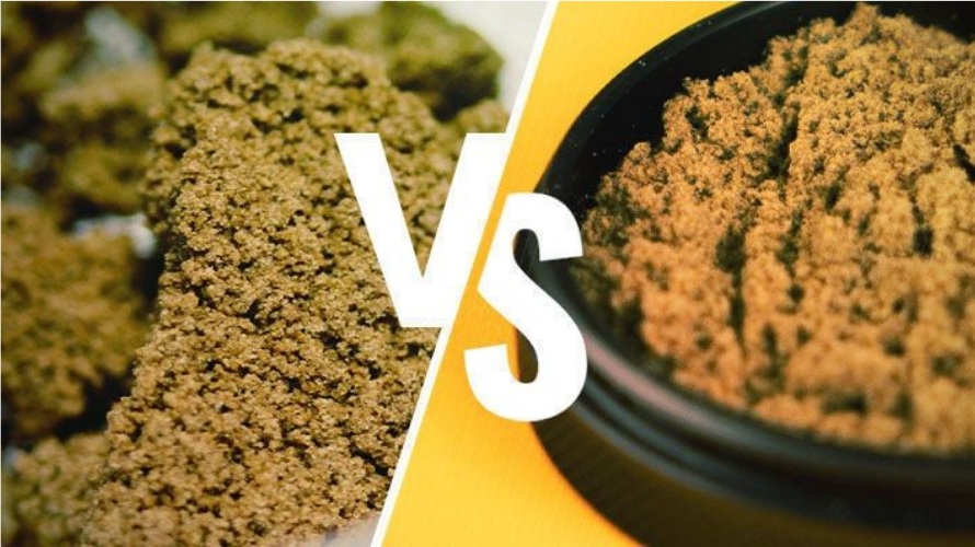 Your final shopping decision is all up to you! Whether you choose bubble hash, regular hash, or kief will depend on your taste preference, desired outcomes, and many other factors personal to you. 