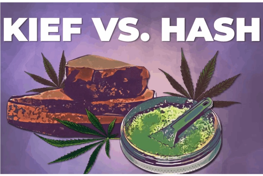 Kief vs Hash: Which one should I buy? If you are a stoner looking for a unique experience, you've likely already asked yourself this question.