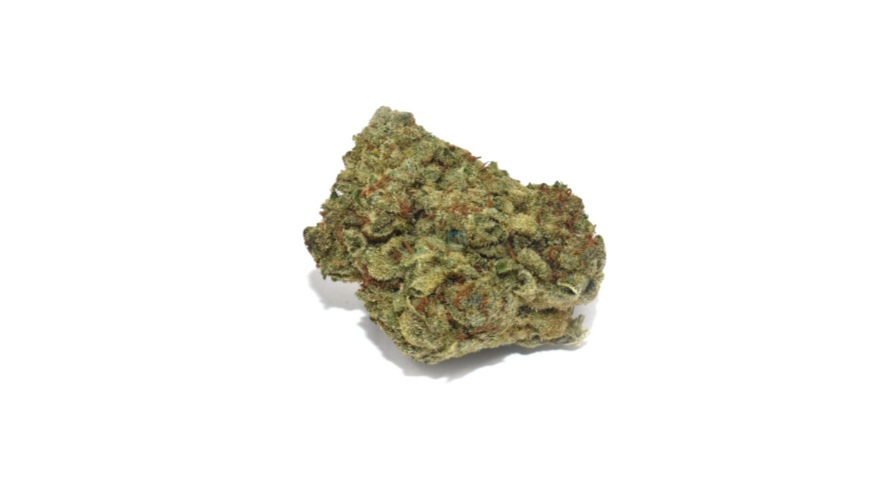 Love Potion is an addictive Sativa leaning hybrid (70:30 Sativa to Indica ratio) with around 15 to 18 percent of THC.