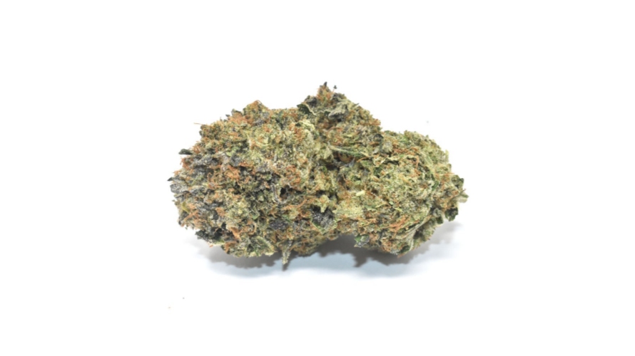 If you want to experience the magic and brilliance of this strain yourself, you can buy Monster Cookies AAA buds from our weed dispensary online today starting at $14.99. 