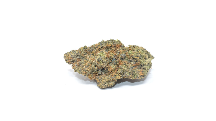 You can buy Purple Haze AAAA buds from only $9.99 per gram and fly off with Jimi Hendrix and his angels in due time.