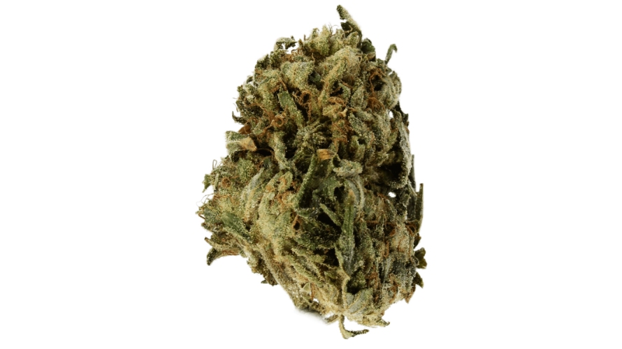 As mentioned in the intro, the Rockstar Kush strain is a powerful Indica-leaning hybrid (the ratio is 75:25 Indica to Sativa) with a THC percentage of 22 to 25 on average. 