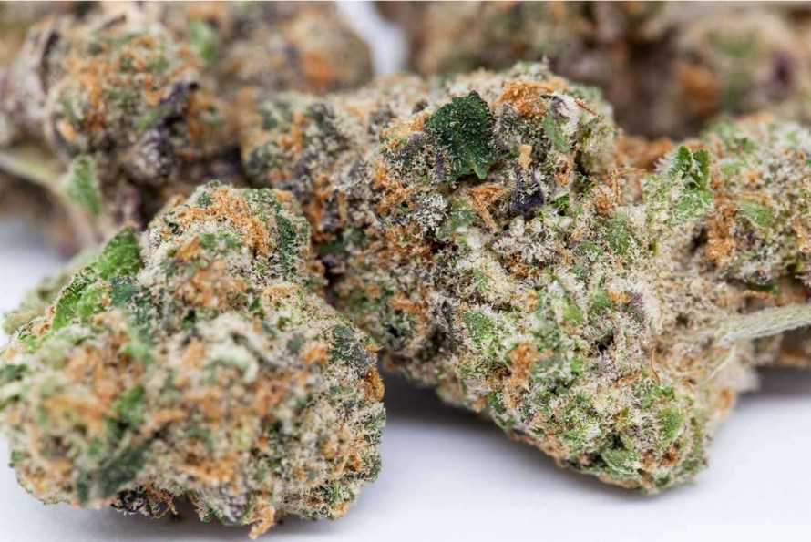 We’re talking about GSC weed - and this Girl Scout Cookies strain review is about to reveal all you can know about it. Read our review blog now.