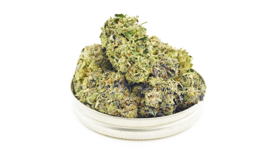 Vintage Blueberry buds are available to buy from our dispensary at the amazing price of only $100 for 28 grams. 