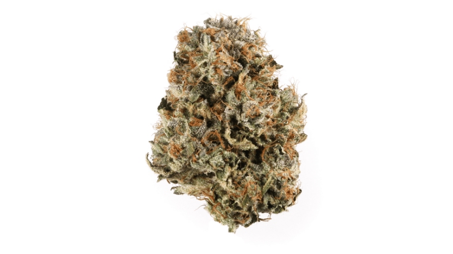 As mentioned, the Waffle Cone strain is a potent Indica dominant hybrid with a 70:30 Indica to Sativa ratio. 