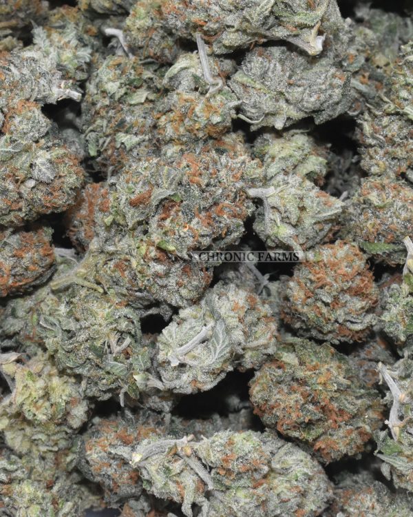 BUY-MOTOR-BREATH-#15-AT-CHRONICFARMS.CC-ONLINE-WEED-DISPENSARY