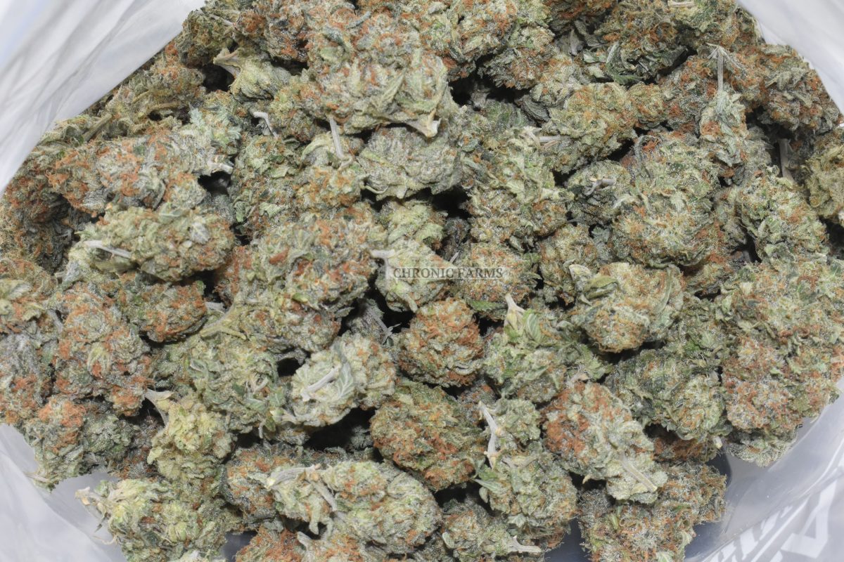 BUY-MOTOR-BREATH-#15-AT-CHRONICFARMS.CC-ONLINE-WEED-DISPENSARY