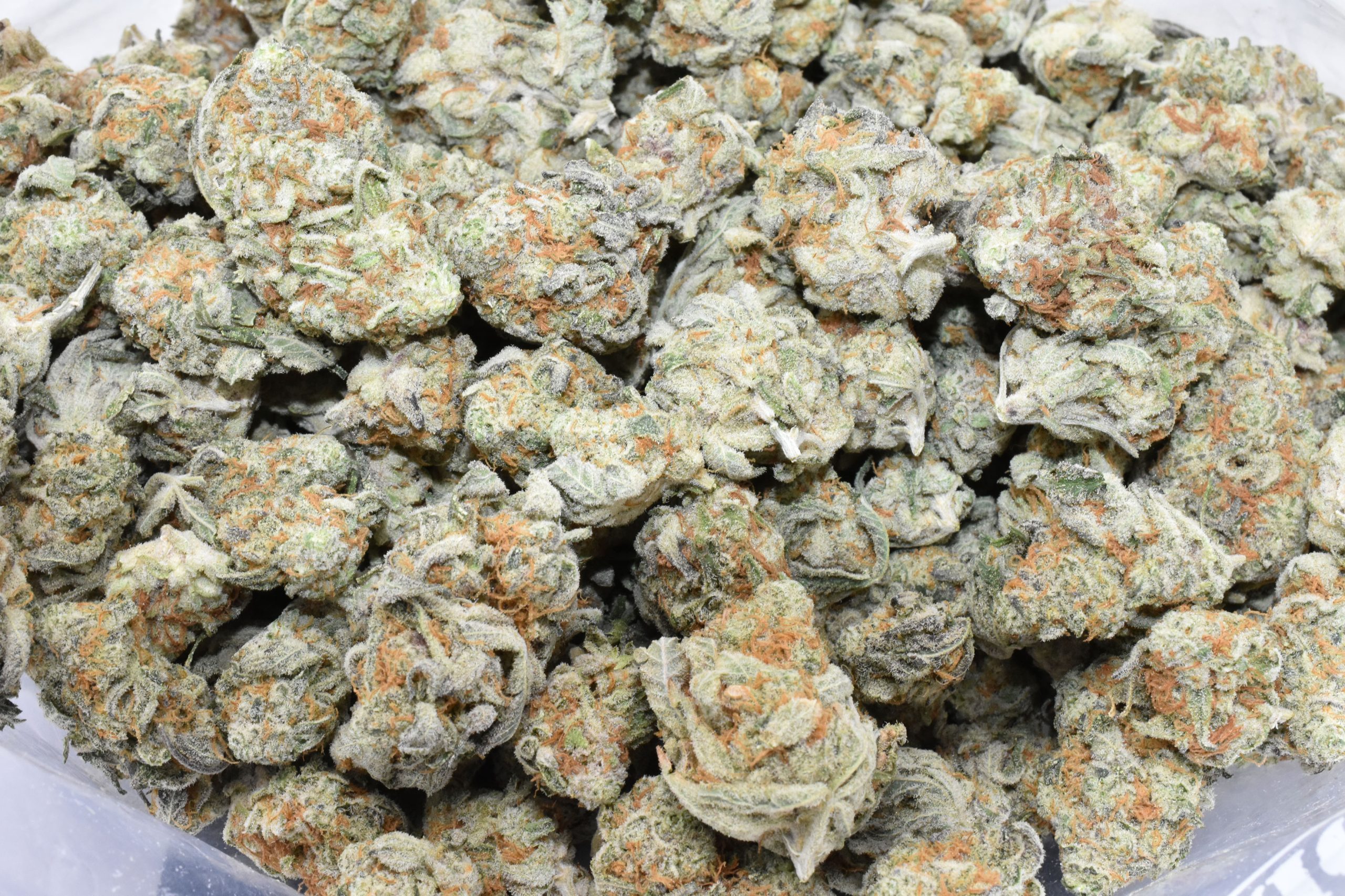 BUY-PLATINUM-OGKB-AT-CHRONICFARMS.CC-ONLINE-WEED-DISPENSARY-IN-CANADA