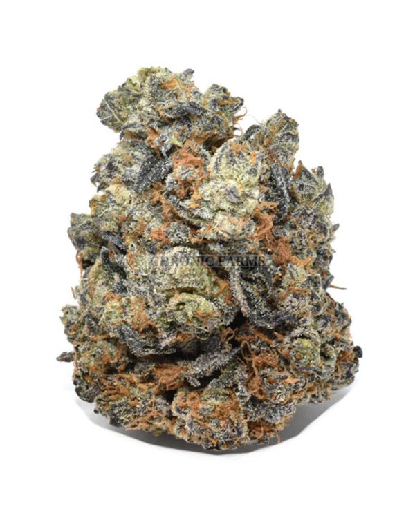 BUY-purple-urkle-AT-CHRONICFARMS.CC-ONLINE-WEED-DISPENSARY-IN-CANADA