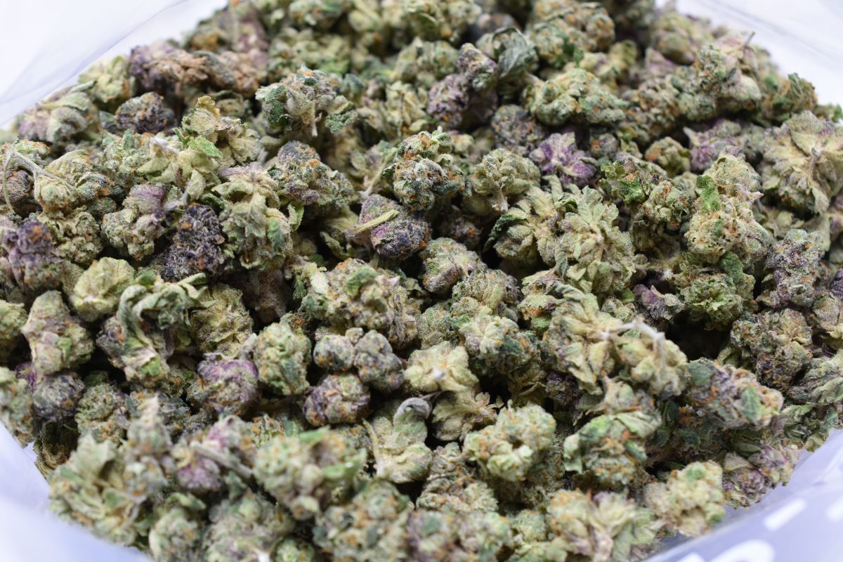 BUY-SUNSET-SHERBERT-POPCORN-AT-CHRONICFARMS.CC-ONLINE-WEED-DISPENSARY-IN-CANADA