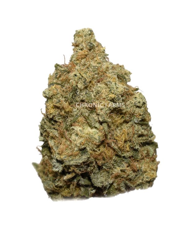 BUY-CALIFORNIA-ORANGE-AA-FLOWER-AT-CHRONICFARMS.CC-ONLINE-WEED-DISPENSARY-IN-BC