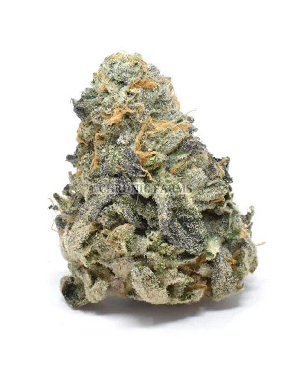 BUY-GRAPE-STOMPER-AT-CHRONICFARMS.CC-ONLINE-WEED-DISPENSARY