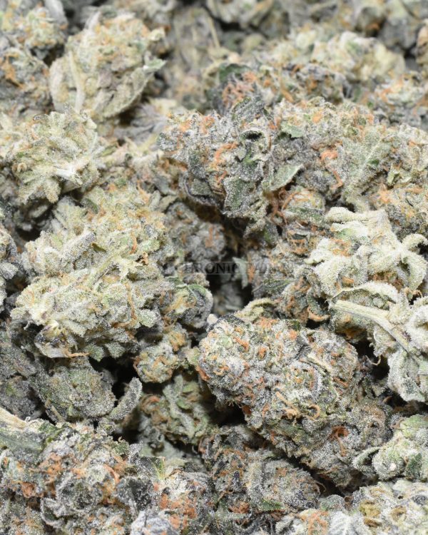 BUY-GRAPE-STOMPER-AT-CHRONICFARMS.CC-ONLINE-WEED-DISPENSARY