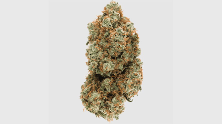 Yes, the Jelly Breath weed is one of the most potent cannabis strains available on the market. 