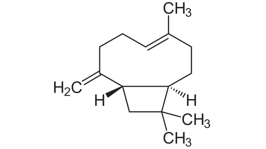 This Jet fuel terpene is a natural bicyclic sesquiterpene found in essential oils.