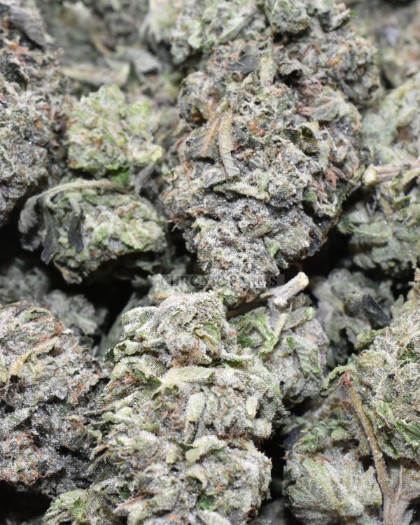 buy-master-kush-aaa-flower-at-chronicfarms.cc-online-weed-dispensary