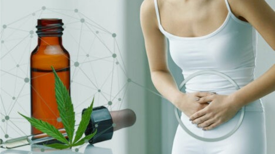While further research is needed to determine the best dosage and use of THC for menstrual cramps, it is worth considering as an option.